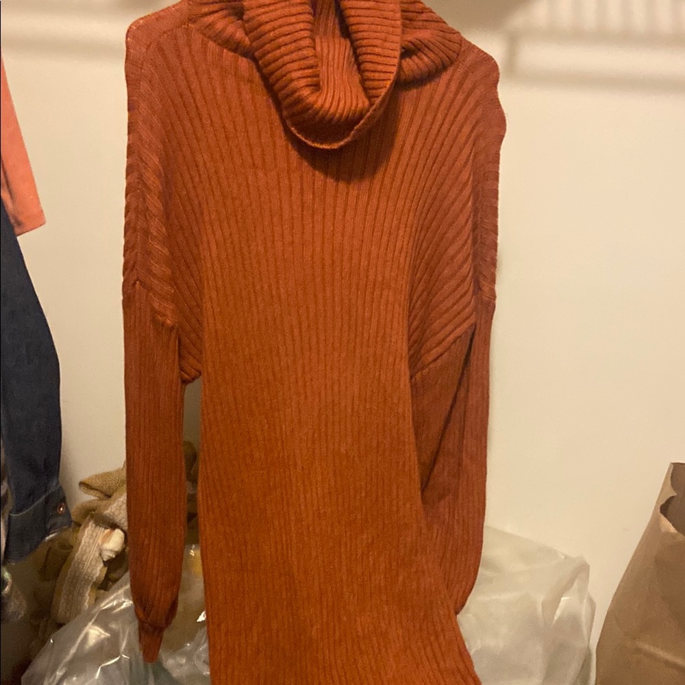 Cozy Rust Sweater